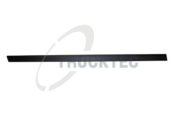 Kapı Bandı Arka Sağ BMW 5 Serisi Sedan (E34)(1988->)  TYG 2011-2261