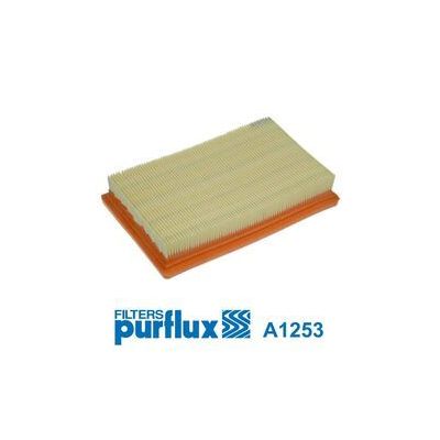 Hava Filtresi  PURFLUX A1253