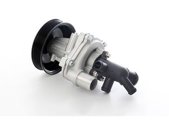 Devirdaim Su Pompası  BSG 30-500-027  1719125 1 719 125 1719125SK1 1 719 125 SK1 1849276 1 849 276 1849276SK1 1 849 276 SK1 BK3Q8A558CBSK1 BK3Q8A558CB SK1 BK3Q8A558CCSK1 BK3Q8A558CC SK1