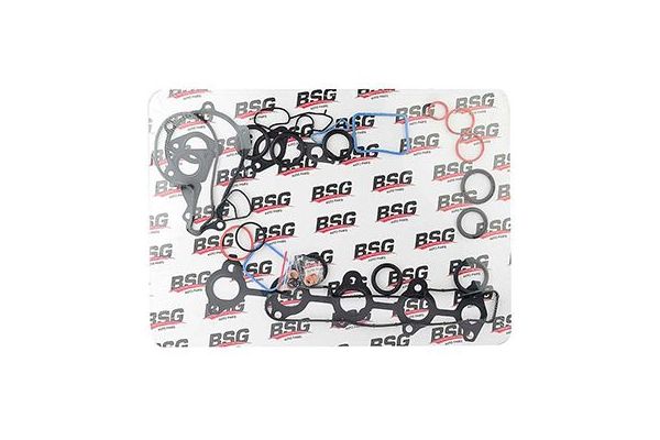 Takım Conta  BSG 30-115-021