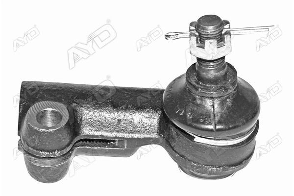 Rot Başı Sol AYD 09393