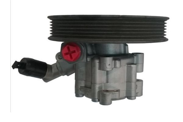 Direksiyon Pompası  SPIDAN 52873