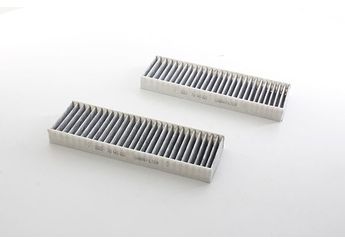 Polen Filtresi  BSG 70-145-023  9801448180 3638979 1609998880 1616959180 6447XG 647993 9807746480 9821501880