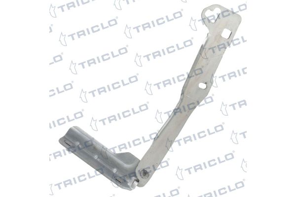 Motor Kaput Menteşesi Sol AFT KKM19506