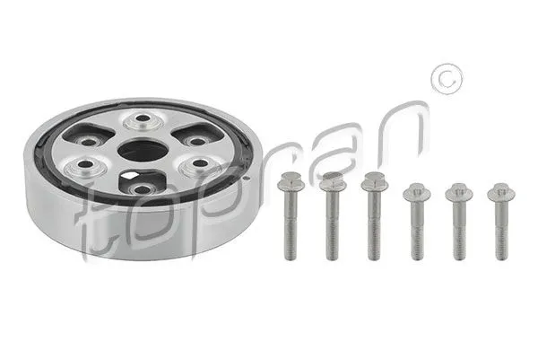 Şaft Kaplini  TOPRAN 117 014