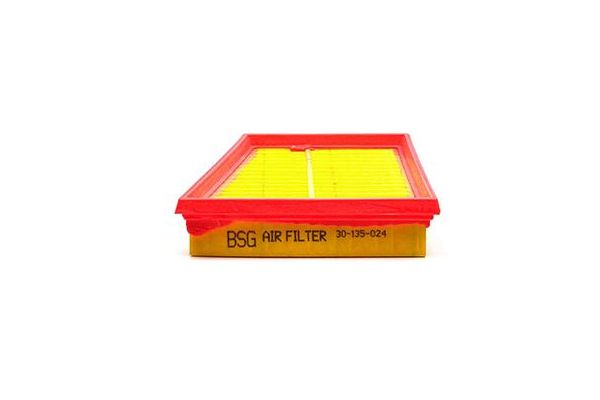 Hava Filtresi  Ford Fusion (CBK)(2002->)  BSG 30-135-024