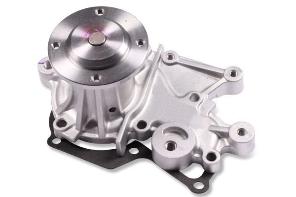 Devirdaim Su Pompası  GK 987506