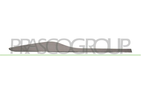 Kapı Bandı Arka Sağ Renault Clio IV Sport Tourer (2013->)  BSG 75-922-403