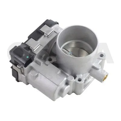 Gaz Kelebeği  Volkswagen Tiguan (5N2)(02.2011->2016)  FRENDI 42213