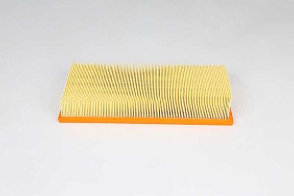 Hava Filtresi  BSG 15-135-015