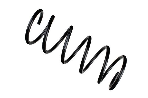 Helezon Yayı Ön BSG 40-305-017