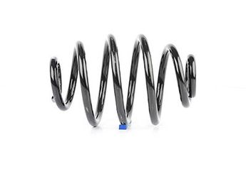 Helezon Yayı Arka BSG 65-305-009  424293 96159544