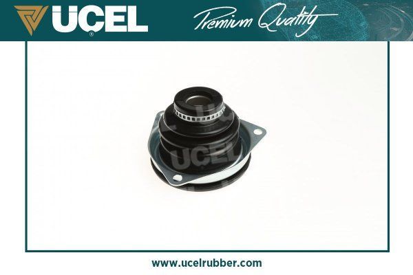 Aks Körüğü Ön Dış Sol Renault R 5 (B/C40)(1985->)  UCEL 10202B