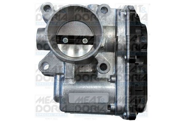 Gaz Kelebeği  Dacia Logan (05.2005->)  HELLUX HLT7509