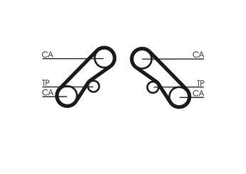 Triger Kayışı  CONTINENTAL CT1074  K9BV12206 0K9BV12206 0K9BV-12-206