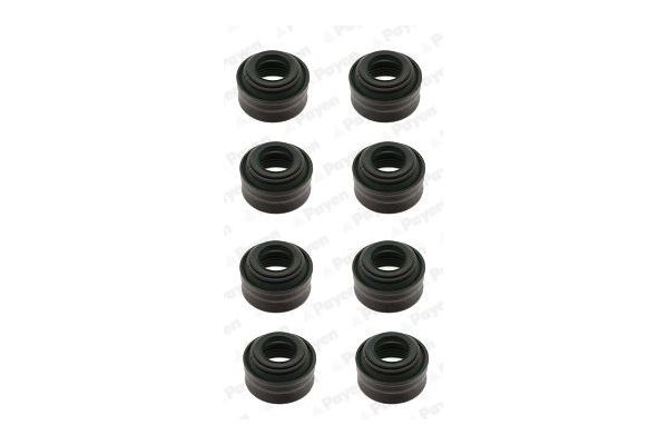 Supap Lastiği  PAYEN HR801