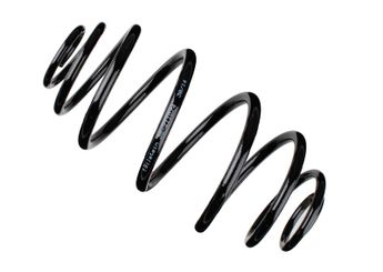 Helezon Yayı Arka ASPART 1CSP1087  424398 424 398 90120225 9191093