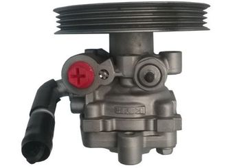 Direksiyon Pompası  SPIDAN GKNY10101  