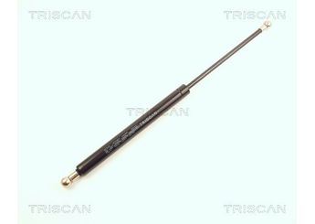 Bagaj Amortisörü Sağ veya Sol FROW 655.1647.001  4A5827552