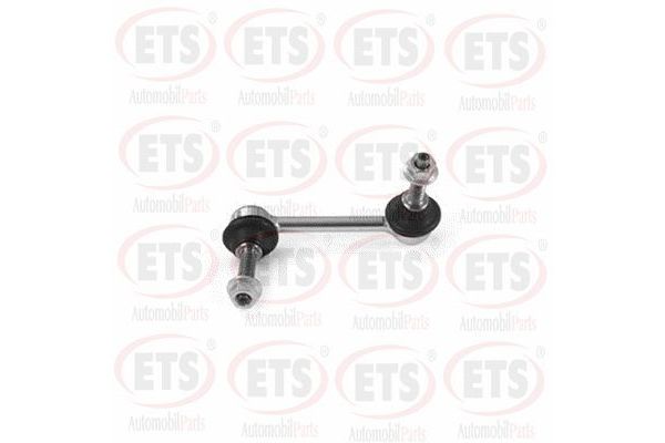 Viraj Demir Askı Rotu Ön Sağ ETS 55.LB.808