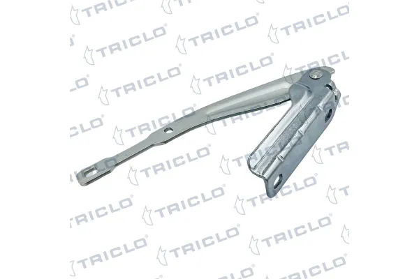 Motor Kaput Menteşesi Sağ LEEOPART BB22201