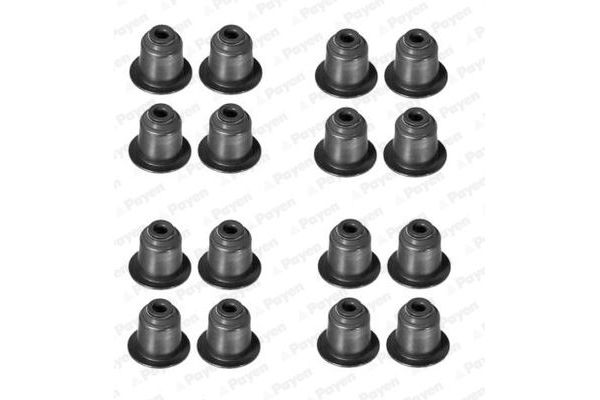 Supap Lastiği  PAYEN HR5045