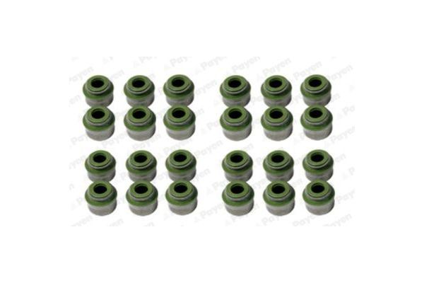 Supap Lastiği  PAYEN R5030676750