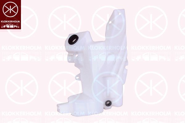 Cam Su Deposu  Nissan Qashqai (J11E)(2013->)  GVA 9899610