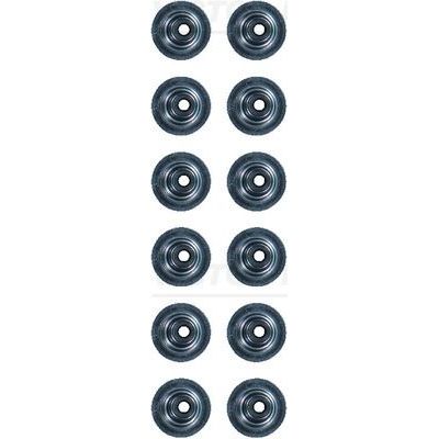 Supap Lastiği  REINZ 12-38226-01