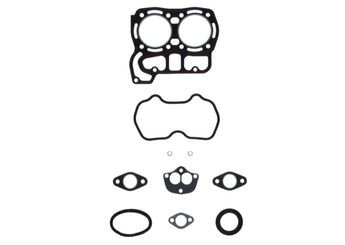 Takım Conta  PAYEN DT270  5890981 5892416