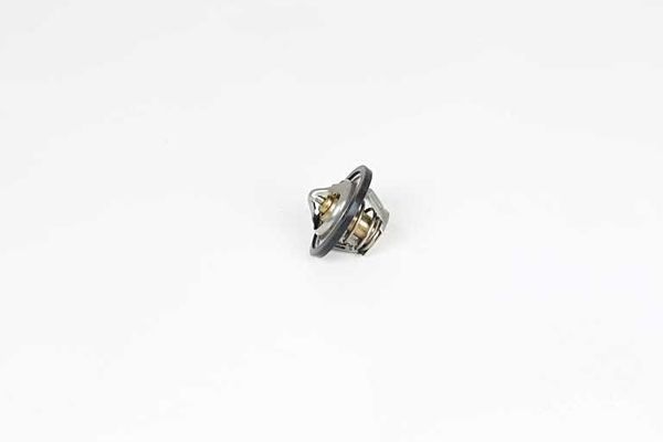 Termostat 87 °C  Volkswagen Santana (327)(08.1981->1984)  BSG BSG 65-125-019