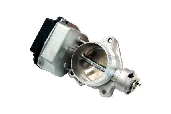 Gaz Kelebeği  PSA ORJINAL 1635X0