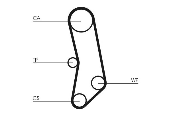 Triger Kayış Seti  Fiat Cinquecento (170)(1993->)  CONTINENTAL CT503WP1