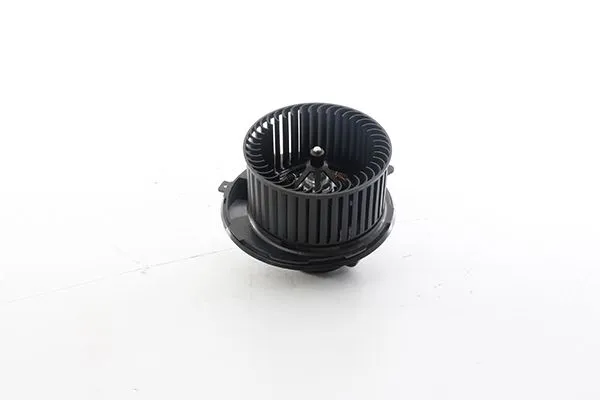 Kalorifer Motoru  BSG 90-845-005