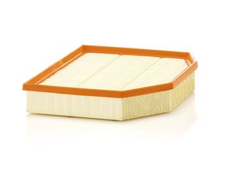 Hava Filtresi  MANN C 29 132  13717542545 13 71 7 542 545