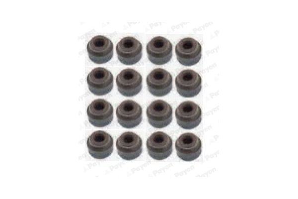 Supap Lastiği  PAYEN HR5076