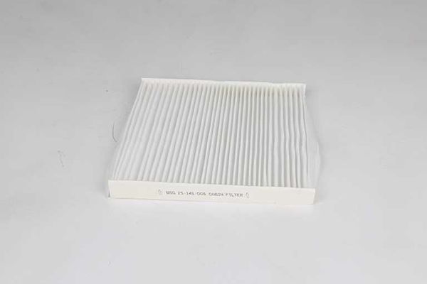 Polen Filtresi  Peugeot Boxer (330/333/335) P.Van (H2) Aks:3000mm (2010->)  BSG 25-145-005