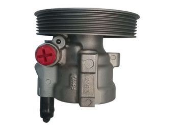 Direksiyon Pompası  SPIDAN 52748  4910084A80 49100-84A80 4910084A81 49100-84A81