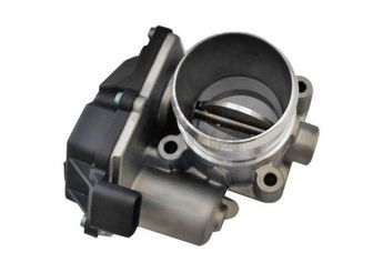 Gaz Kelebeği  HYUNDAI ORJINAL 351002A900  351002A900 35100-2A900