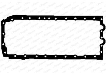 Karter Contası  PAYEN JH5103  11137548031