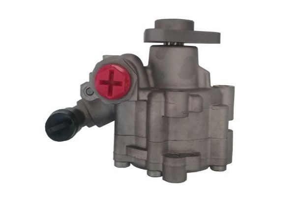 Direksiyon Pompası  SPIDAN GKNY10102