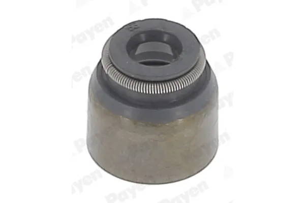 Supap Lastiği  PAYEN PB681