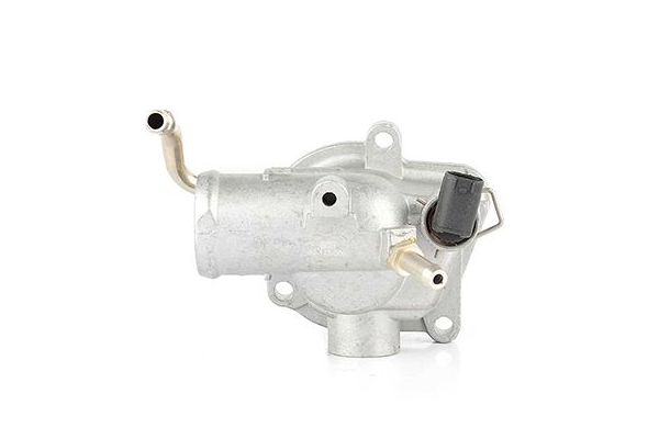 Termostat  BSG 60-125-009