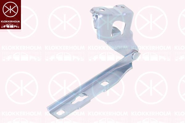 Motor Kaput Menteşesi Sol Audi S4 Avant (8K5)(03.2009->)  TYG 1316-2356