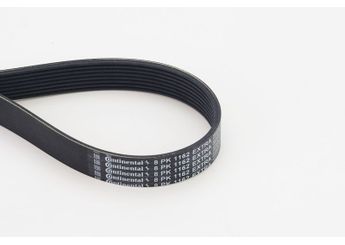 Vantilatör Kayışı  CONTINENTAL 8PK1162 EXTRA  11288597653