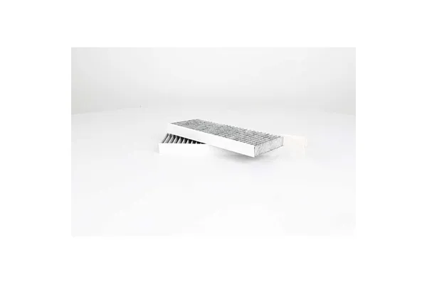 Polen Filtresi  Renault Latitude (2010->)  BSG 75-145-014