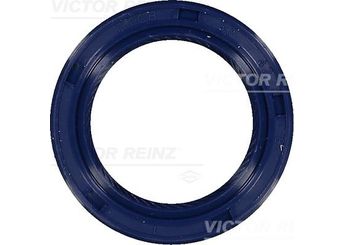 Eksantrik Keçesi  REINZ 81-53453-00  815345300 96350161 96 350 161 2214439001 22144-39001