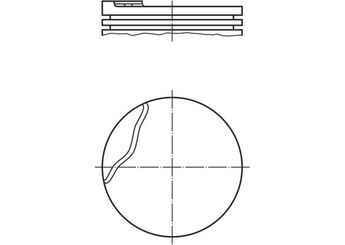 Piston (79.50MM-0.50)  MAHLE 022 03 01  7701700671 120A13445R 6001549033