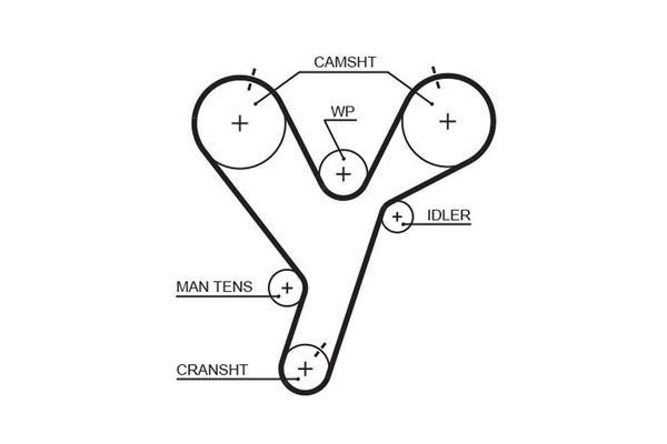 Triger Kayışı  GATES 5446XS