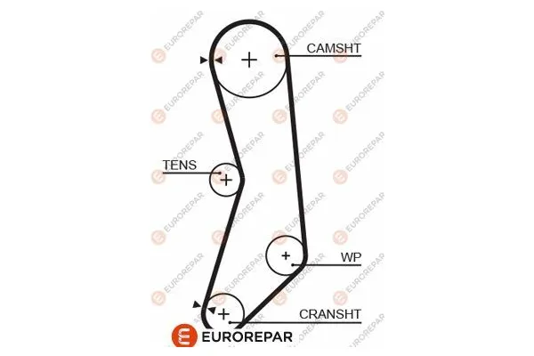 Triger Kayışı  Fiat Cinquecento (170)(1993->)  EUROREPAR 1633136080